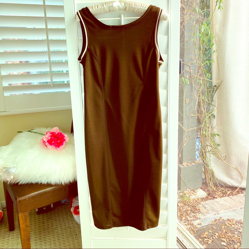 (NWOT) Zara Brown Dress Lower Back (M)